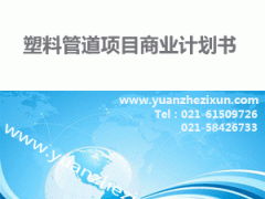 專(zhuān)業(yè)項(xiàng)目投資融資計(jì)劃書(shū)撰寫(xiě)服務(wù) 中英文版本與全方位咨詢支持